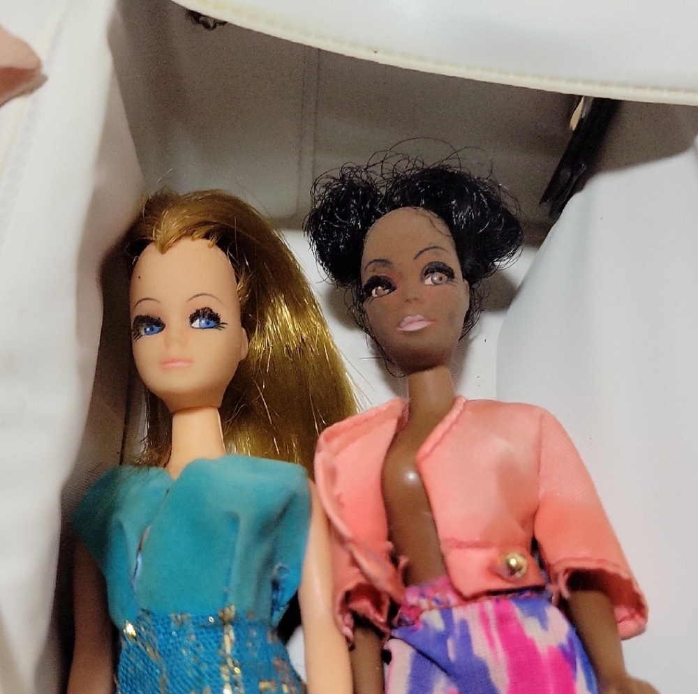 1970s Topper Dawn Dolls~Case~Cloths